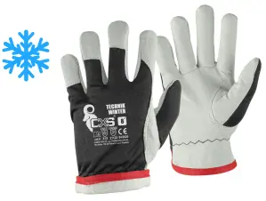 Rukavice TECHNIK WINTER kombinované  